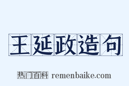 王延政造句是什么意思的图片